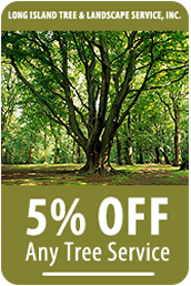 5% off Long Island Tree Service